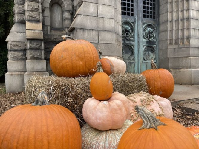 pumpkins on a bale of hay