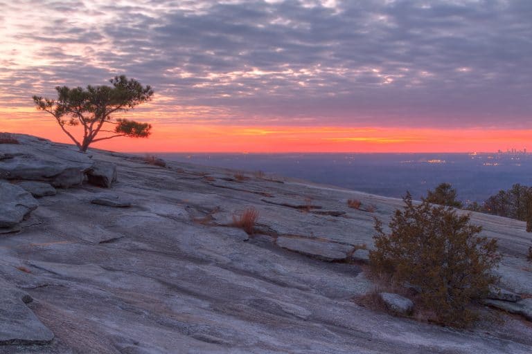 Spring Atlsnta Ultimate Spring Bucket List: 25 Things To Do In Atlanta This Spring