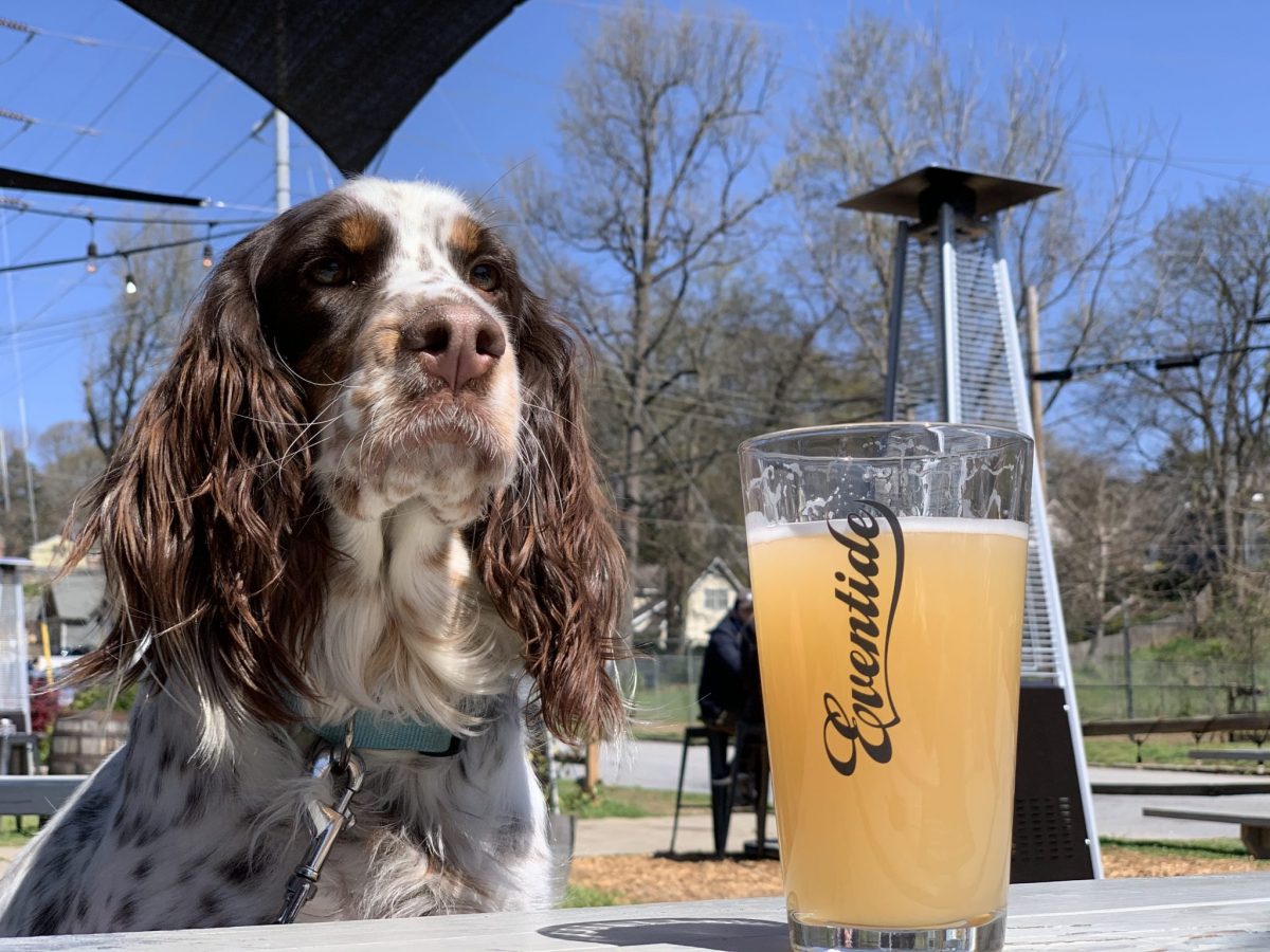 Celebrate Your Pup At Eventide Brewery On National Dog Day