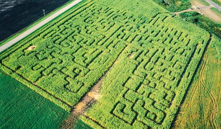 8 mind-blowing corn mazes to get totally lost in this fall in Atlanta