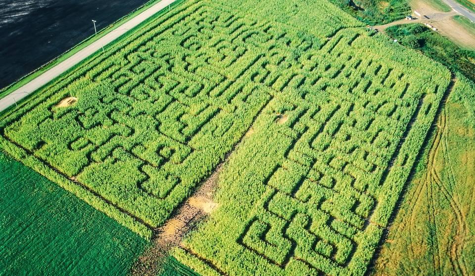 8 mind-blowing corn mazes to get totally lost in this fall in Atlanta