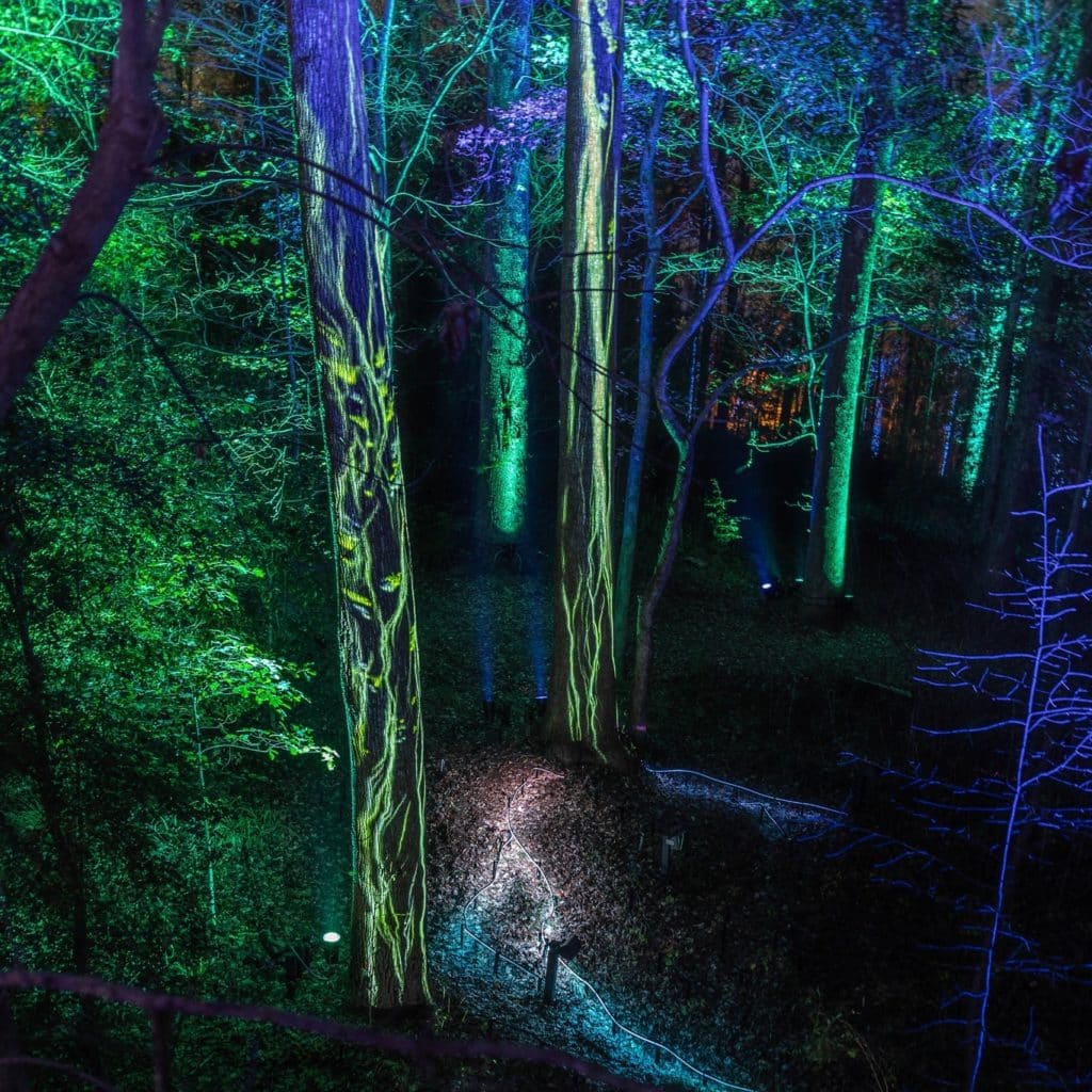 Fernbank Museum's walk-thru light experience in Atlanta