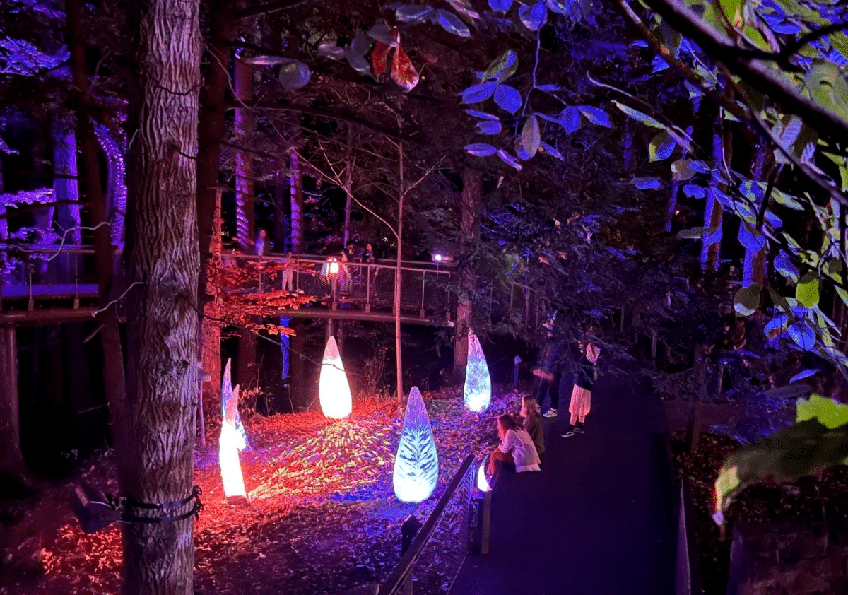This Luminescent Wonderland Is Returning To Atlanta For The