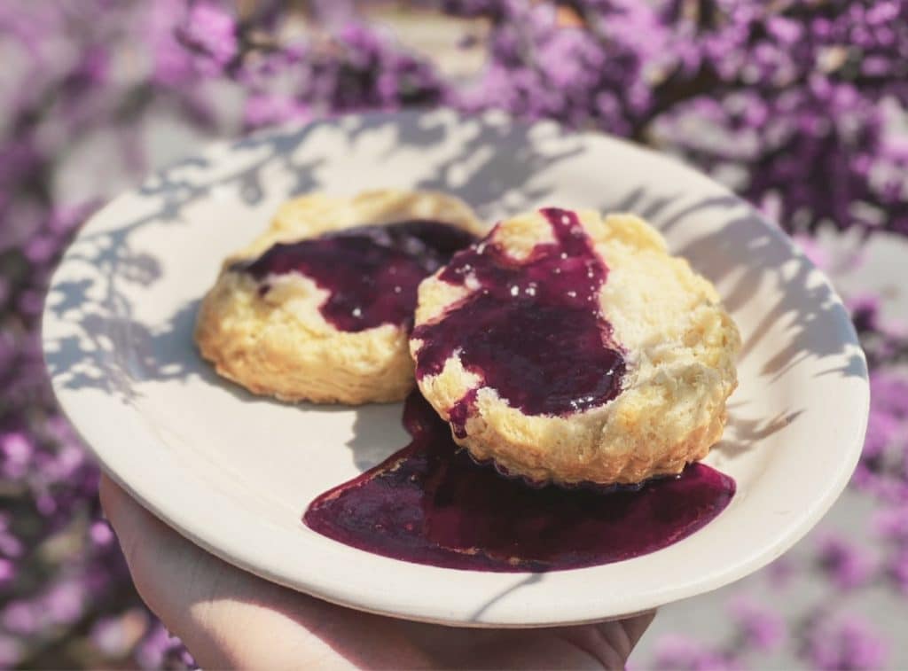 Biscuit world near me