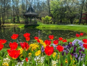 Your Ultimate Spring Bucket List: 25 Fun Things To Do In Atlanta This Spring