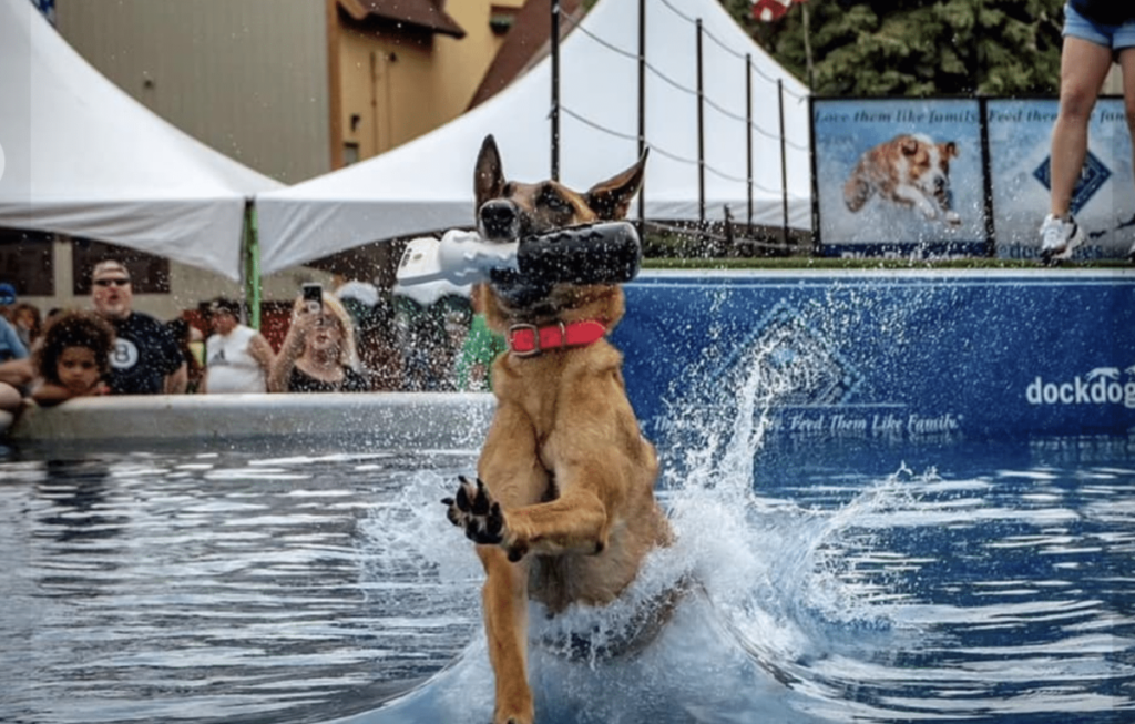 Enjoy The Ultimate DogFriendly Event This Weekend