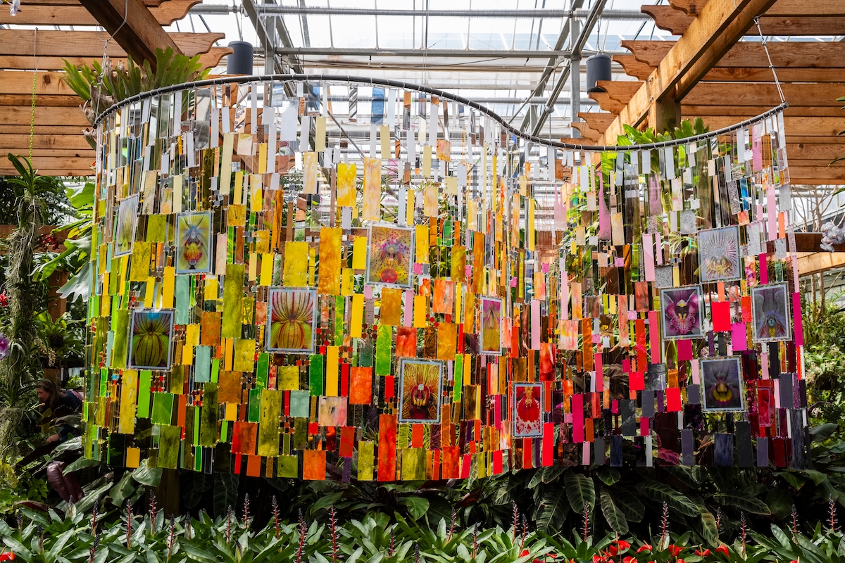 The ATL Botanical Garden Features 16,000 Sq Ft Of Orchids