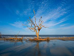 One Of The Official &#8216;Best Beaches In The United States&#8217; Is Right Here In Georgia &#038; It&#8217;s A Secluded, Quiet Getaway
