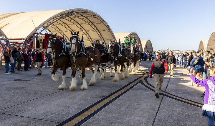 The Budweiser Clydesdales Are Galloping Into The ATL Today, July 11th, 2025