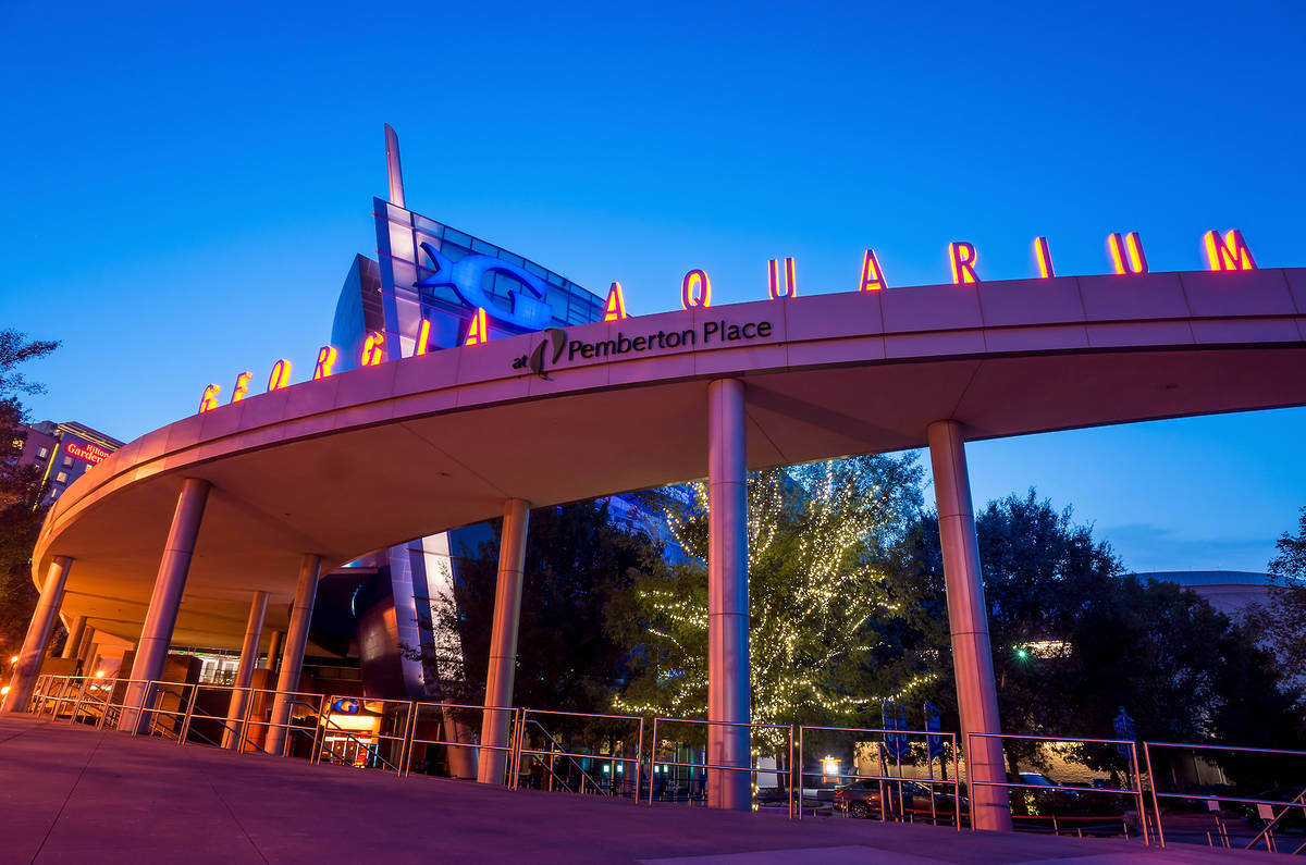 A special three-day Jekyll Island pop-up is coming to the Georgia Aquarium next weekend — here's how you can check it out