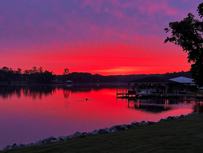 Lake Sinclair Sunset Ducks Swimming Dock