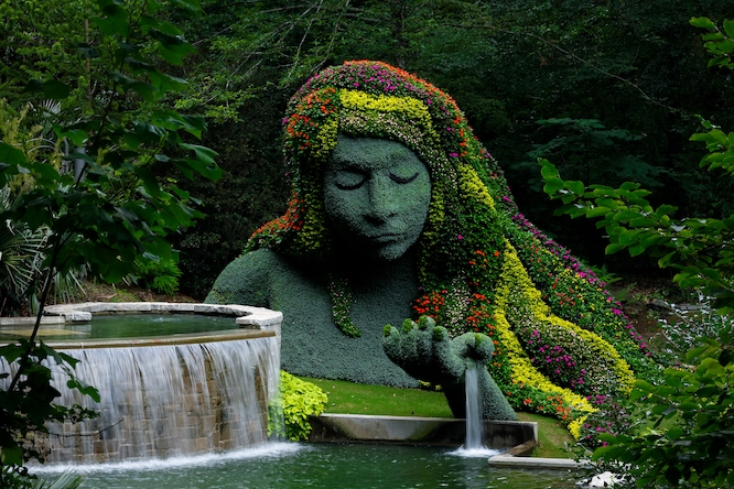 beautiful Mother Nature in a green forest