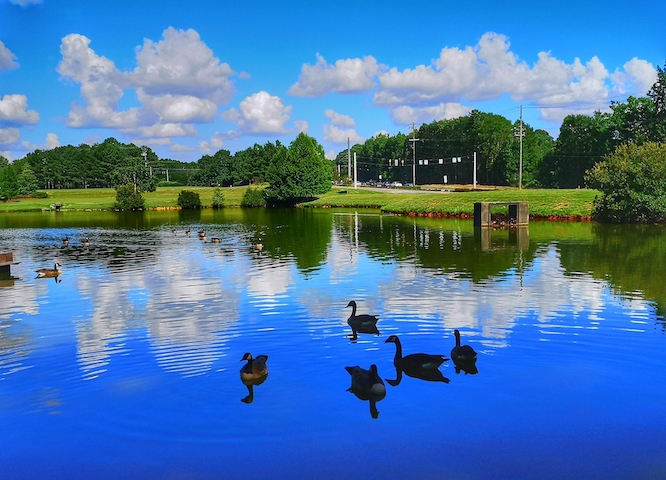 A lake by Perimeter Church Johns Creek GA