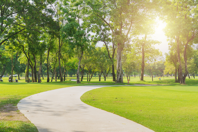New pathway and beautiful trees track for running or walking and cycling relax in the park on green grass field on the side of the golf course. Sunlight and flare background concept.