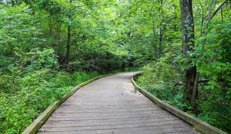 A Massive 535-Mile Trail Plan Aims To &#8216;Have 95% Of Atlantans Within 10 Minutes Of A High-Quality Trail&#8217;
