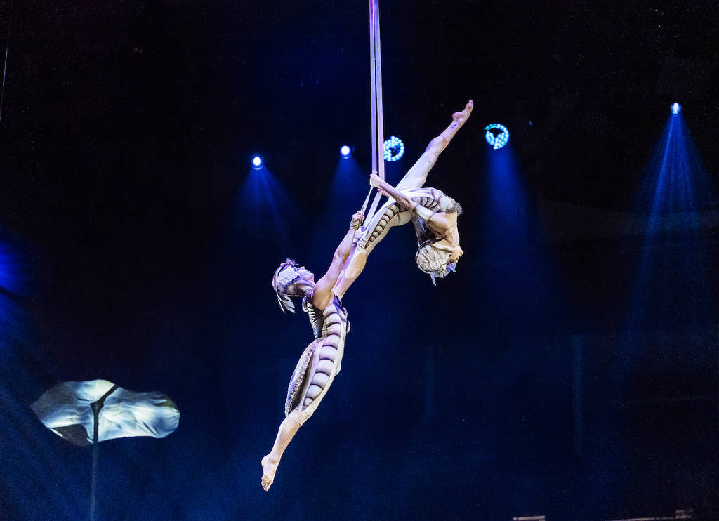 two acrobats dangling from the sky in butterfly costumes