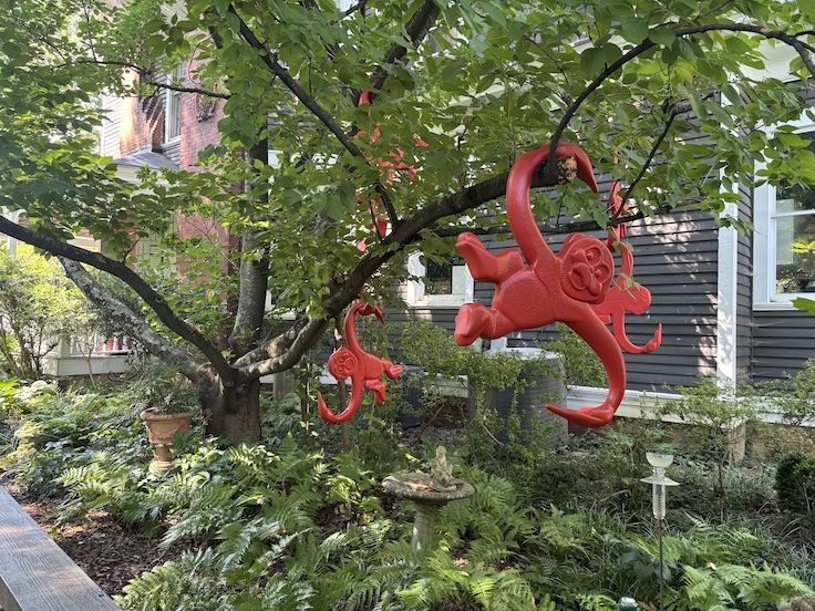 money toys in the trees