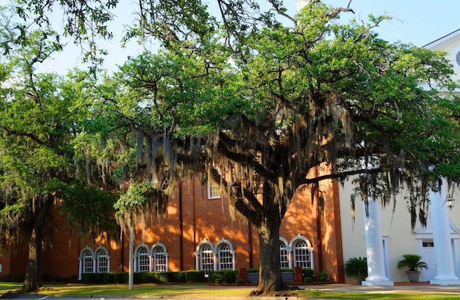 Old Southern Buildings Shrouded by old oak trees in Thomasville Georgia