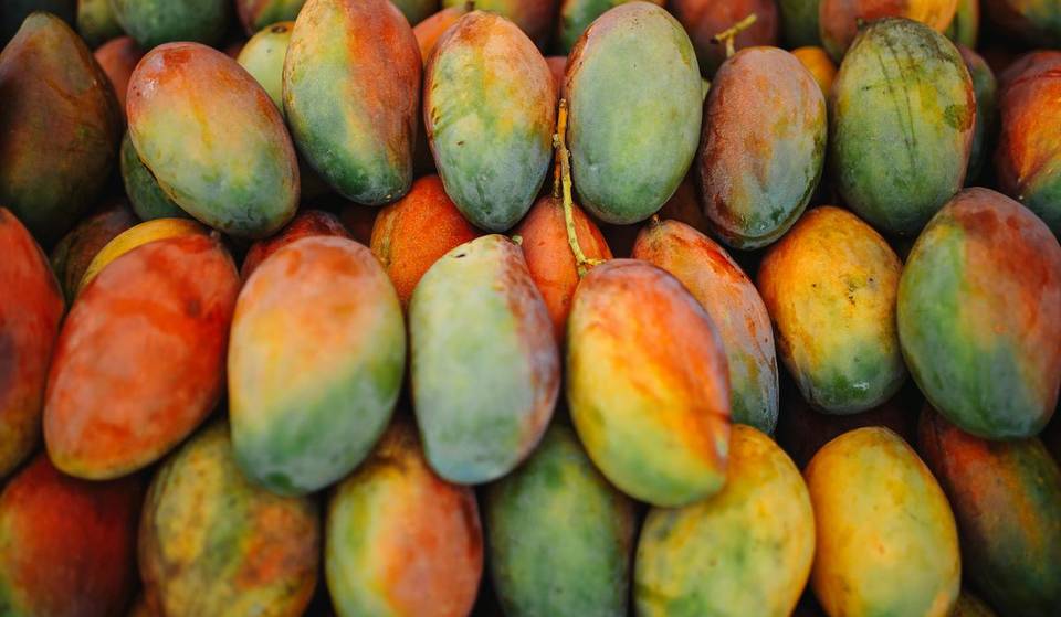 La fruta ‘más buscada’ de Georgia no es el melocotón, y probablemente no adivinará cuál es