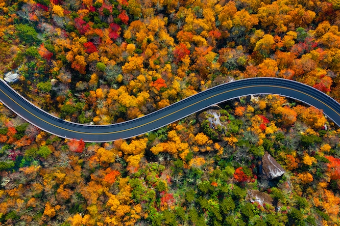 Road through the Blue Ridge Parkway mountains of North Carolina during the Fall.