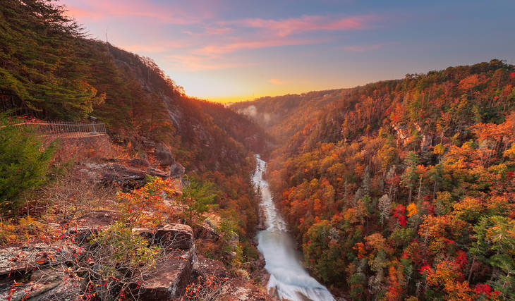 9 perfect leaf peeping spots in Atlanta to enjoy the stunning fall foliage — A complete guide to the changing colors of fall in the ATL