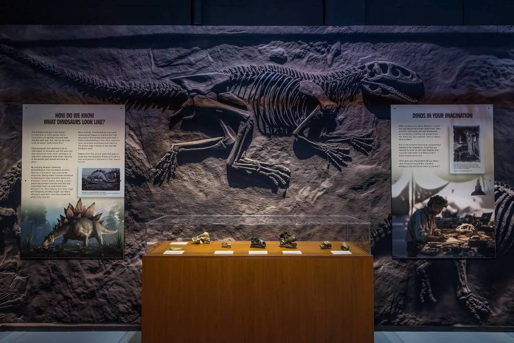 vitrina de la exposición de dinosaurios