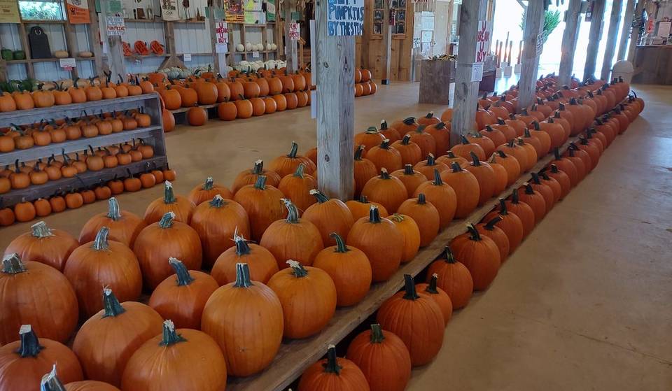 One Of The Country&#8217;s Most Underrated Pumpkin Patches Is Just An Hour Away From Atlanta — Here&#8217;s Everything You Need To Know
