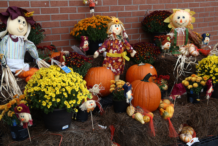 Atlanta, GA-USA October 11, 2016: Festive Thanksgiving display in suburban neigborhood.