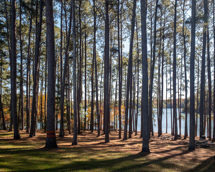 Anderson, South Carolina, United States - November 24, 2019: Interstate highway (I-85) rest area near Anderson, South Carolina