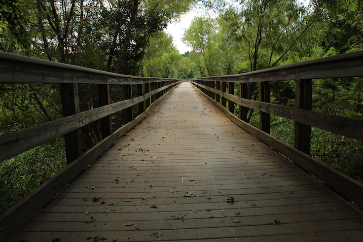 The bridge to the River Trail at Ocmulgee National Historic Park!