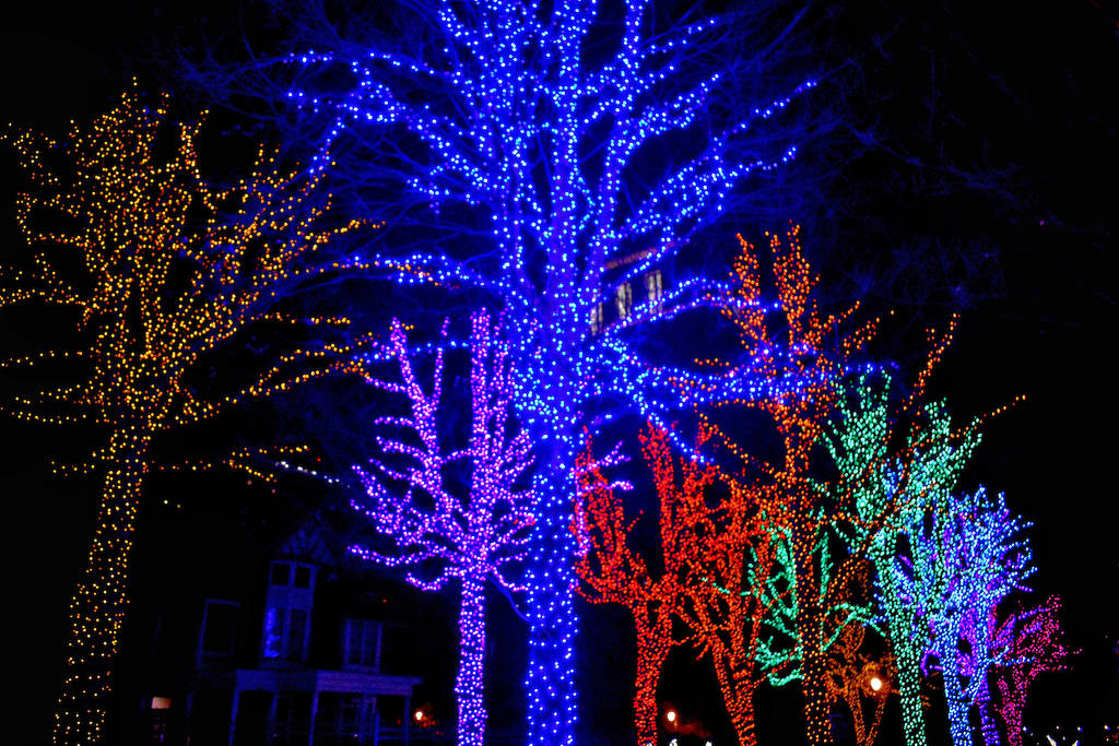 Árboles iluminados en Atlanta para las fiestas navideñas