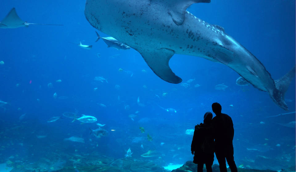 15+ Romantic Things To Do This Valentine’s Day 2026 In Atlanta