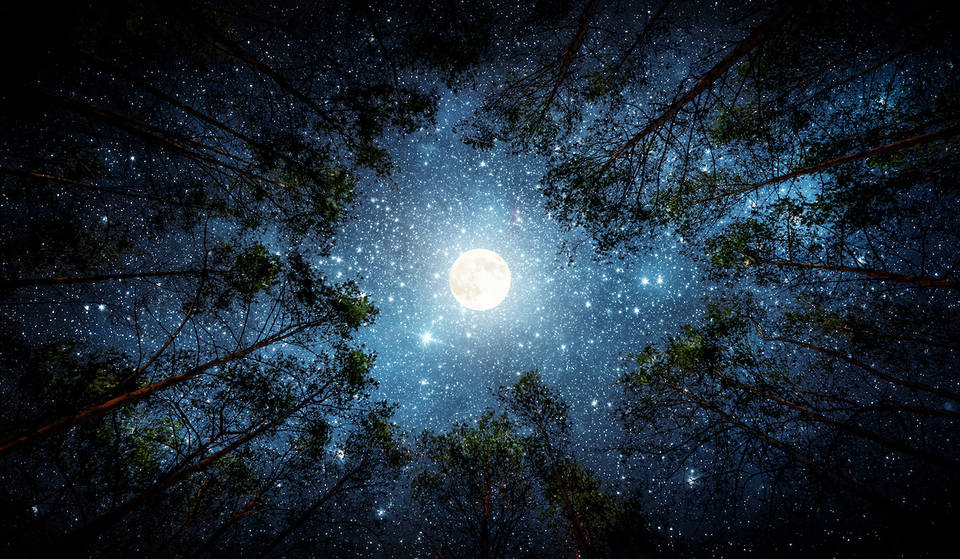 ¿Qué es la «luna de nieve» que tendrá lugar este fin de semana? El fenómeno astronómico que iluminará los cielos de Atlanta.