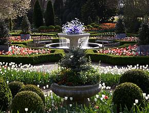 The Atlanta Botanical Garden Celebrates Its Half-Century Birthday By Planting 140,000 Tulips, Daffodils & More On The Great Lawn — Here’s How You Can Experience The Massive Floral Festival