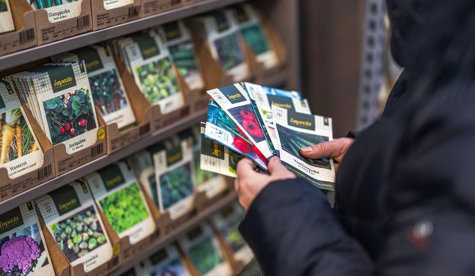 These Atlanta Area Public Libraries Are Offering FREE Seeds For Your Garden — Here’s How You Can Get Free Seeds