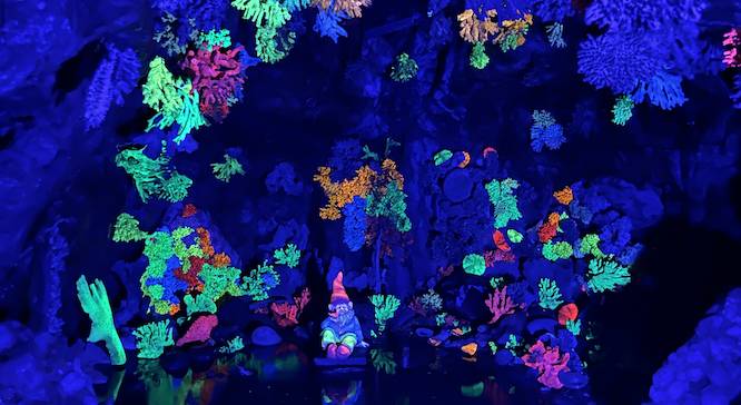 a glow in the dark gnome experience