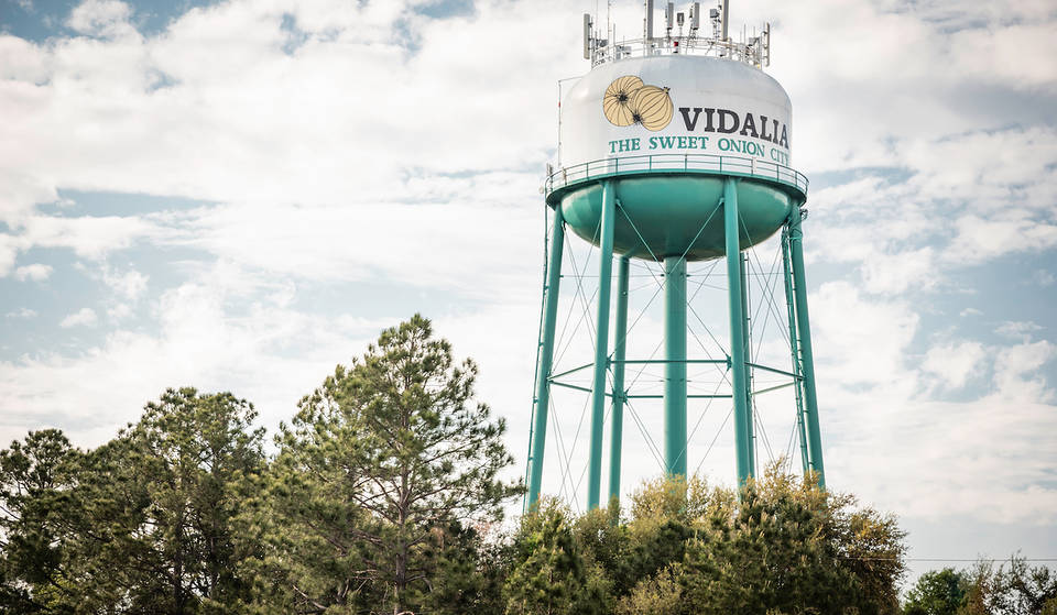 The Massive Vidalia Onion Festival Celebrates The State Vegetable With 4 Days Of Onion-Themed Events, Just 2.5 Hours From Atlanta — From The World Famous Onion Eating Contest To An Onion Showdown &amp; Beyond