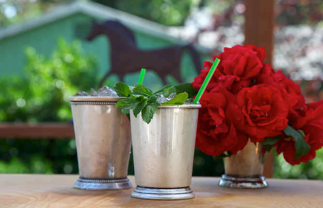 Mint juleps in traditional silver cups with red roses and horse shape in background