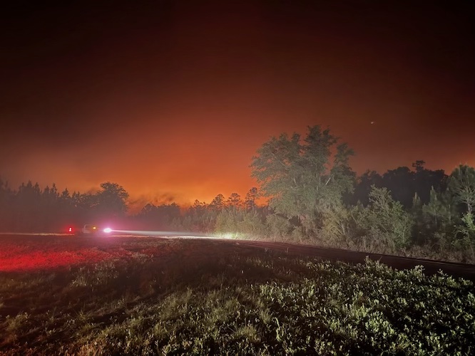 Georgia Forestry Commission | Pineland Road Fire