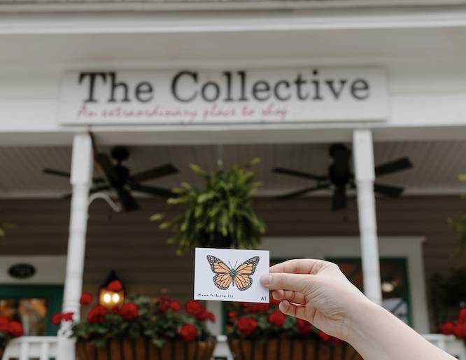 una lámina de una mariposa delante de una tienda