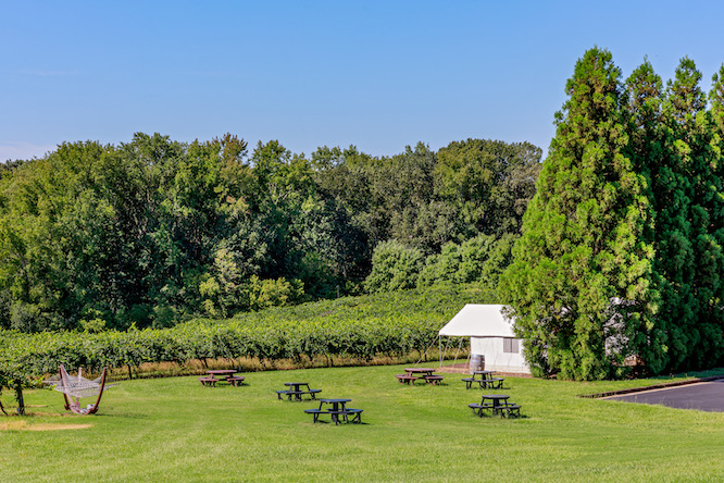 Chateau Elan Winery & Resort