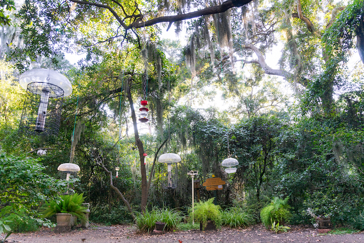 bird feeders