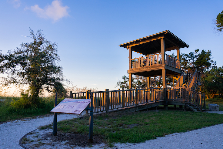 birding tower