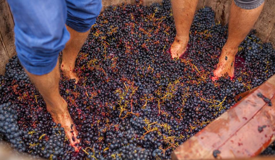 Este lujoso complejo vinícola con spa, situado en el norte de Georgia, acoge el «Grape Stomp Festival», un evento de un solo día en el que encontrarás puestos de artesanía local, delicioso vino de la zona y pisado de uvas de verdad.
