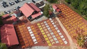 La calabaza «drive-thru» más grande del mundo se estrena en este acogedor huerto de calabazas, a solo 75 minutos de Atlanta