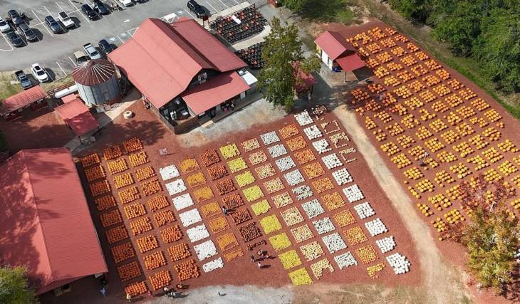 La calabaza «drive-thru» más grande del mundo se estrena en este acogedor huerto de calabazas, a solo 75 minutos de Atlanta