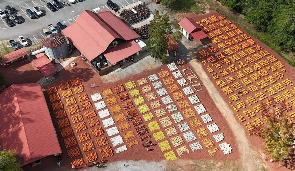 The world’s largest drive-thru pumpkin is opening in at this cozy pumpkin patch just 75 minutes from Atlanta