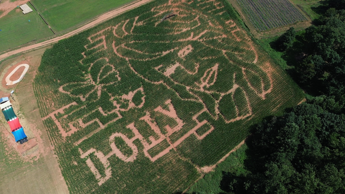 This Georgia farm just 1.5 hours from Atlanta is honoring Dolly Parton with a Dolly-themed corn maze & a partnership with Dolly's Imagination Library