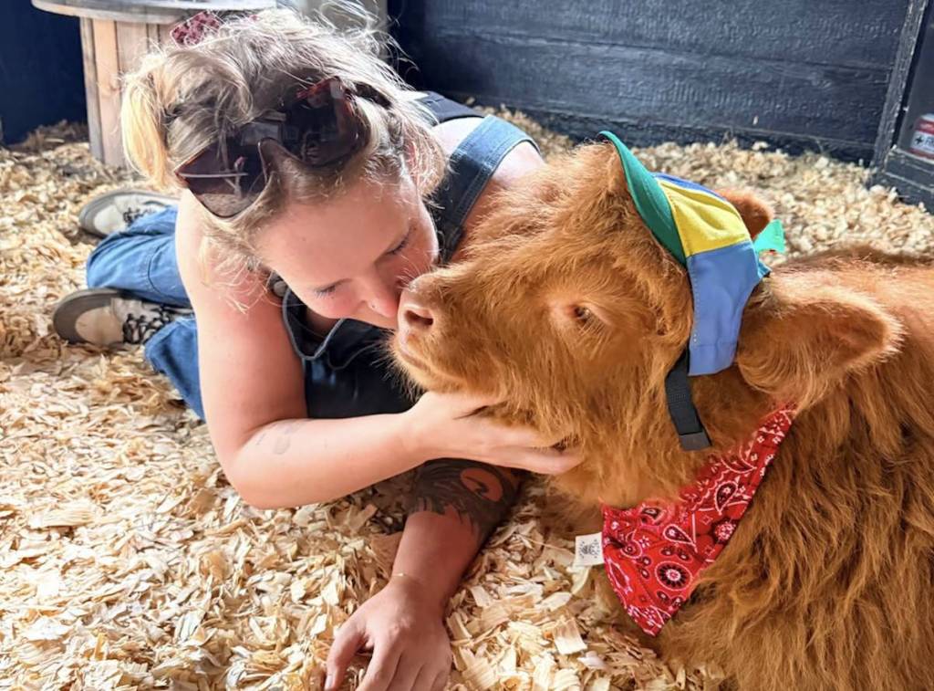 una mujer acurrucándose con una vaca de las Highlands