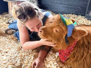 Snuggle adorable mini Highland cows at this family-owned farm just 30 minutes from Atlanta